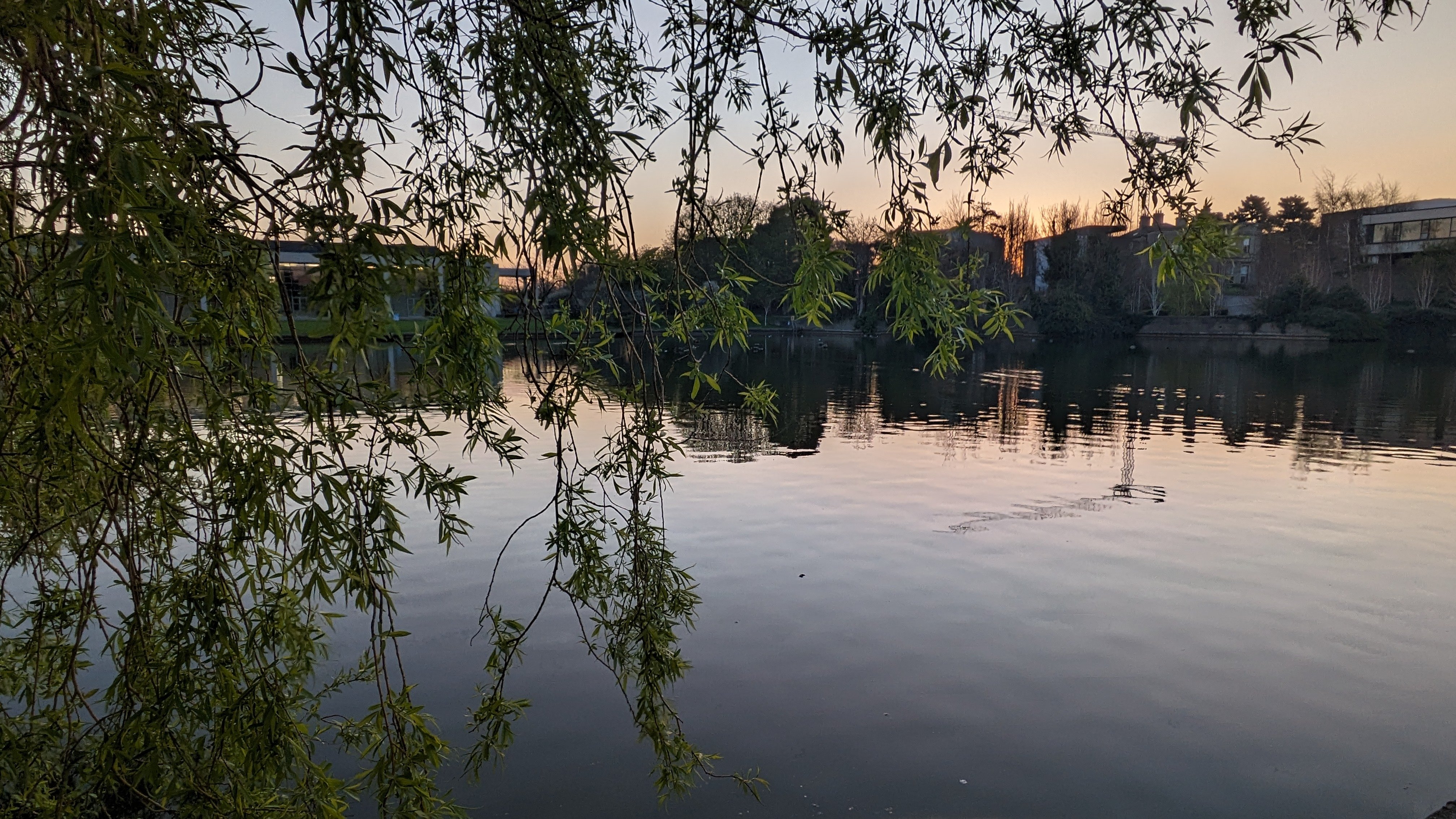 UCD Campus with lake